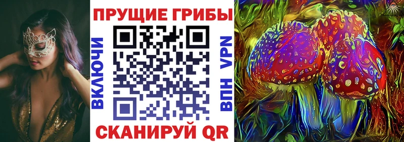 Галлюциногенные грибы Psilocybe  Аша 